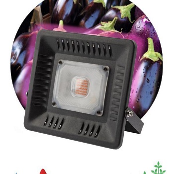 Прожектор для растений FITO-50W-LED BLUERED 50Вт IP65 220-240В -30град. до + 45град. 30000ч ЭРА Б0039033
