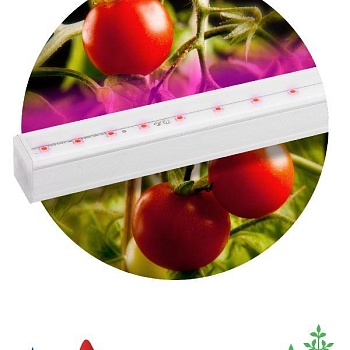 Светильник светодиодный для растений FITO-14W-Т5-N 14Вт 220-240В линейный для периода вегетации фиолет. свечение ЭРА Б0045232